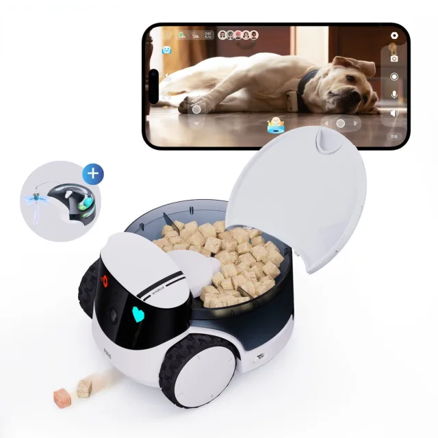 Un chien regarde la caméra interactive ROLA PetPal dans une pièce lumineuse